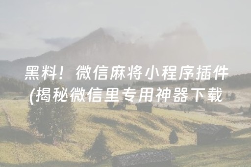 黑料！微信麻将小程序插件(揭秘微信里专用神器下载)