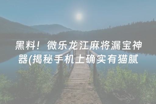 黑料！微乐龙江麻将漏宝神器(揭秘手机上确实有猫腻)