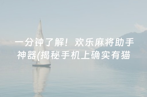 一分钟了解！欢乐麻将助手神器(揭秘手机上确实有猫腻)