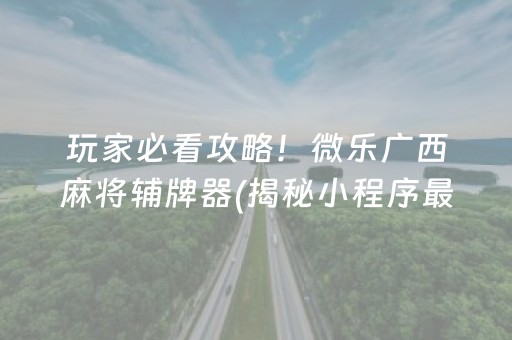 玩家必看攻略！微乐广西麻将辅牌器(揭秘小程序最新神器下载)