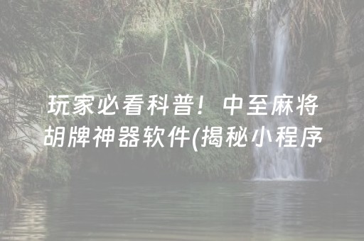 玩家必看科普！中至麻将胡牌神器软件(揭秘小程序赢的诀窍)