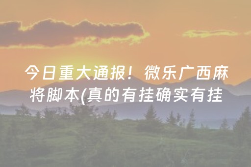 今日重大通报！微乐广西麻将脚本(真的有挂确实有挂)