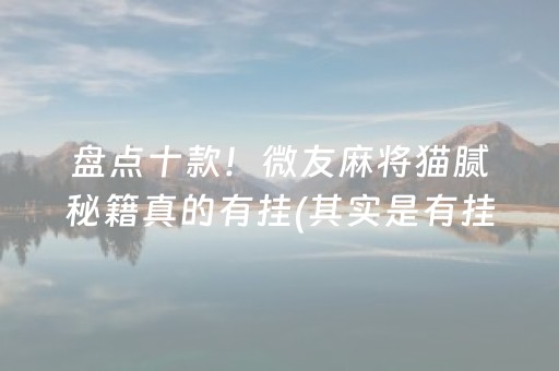 盘点十款！微友麻将猫腻秘籍真的有挂(其实是有挂的)