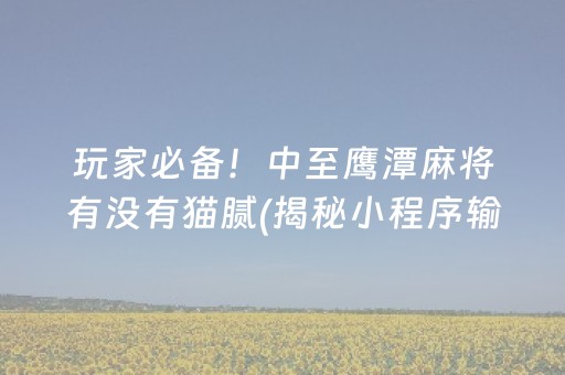 玩家必备！中至鹰潭麻将有没有猫腻(揭秘小程序输赢技巧)