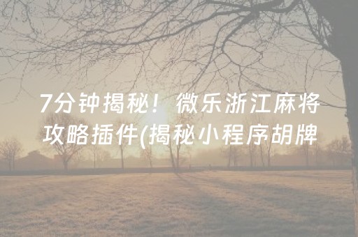 7分钟揭秘！微乐浙江麻将攻略插件(揭秘小程序胡牌神器)