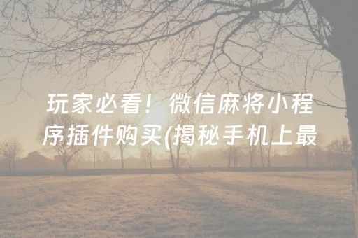 玩家必看！微信麻将小程序插件购买(揭秘手机上最新神器下载)