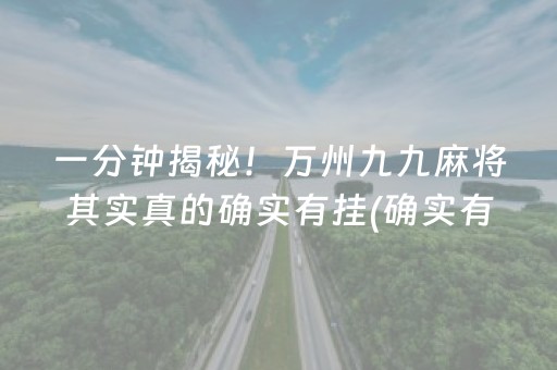 一分钟揭秘！万州九九麻将其实真的确实有挂(确实有挂)