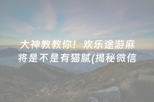 大神教教你！欢乐途游麻将是不是有猫腻(揭秘微信里自建房怎么赢)