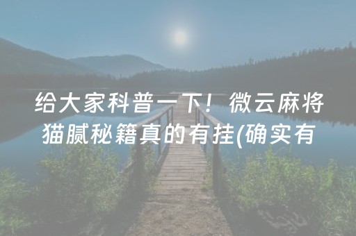 给大家科普一下！微云麻将猫腻秘籍真的有挂(确实有挂吗)
