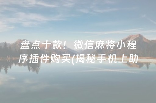 盘点十款！微信麻将小程序插件购买(揭秘手机上助赢神器购买)