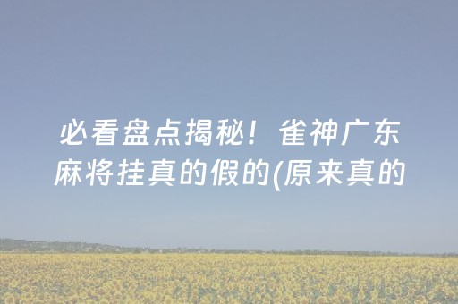 必看盘点揭秘！雀神广东麻将挂真的假的(原来真的有挂)