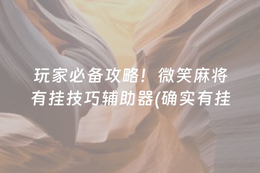 玩家必备攻略！微笑麻将有挂技巧辅助器(确实有挂吗)