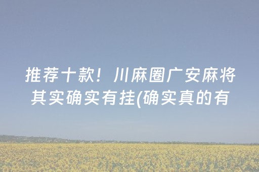推荐十款！川麻圈广安麻将其实确实有挂(确实真的有挂)
