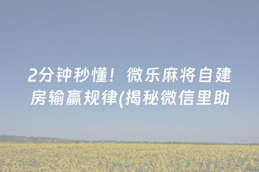 2分钟秒懂！微乐麻将自建房输赢规律(揭秘微信里助手软件)