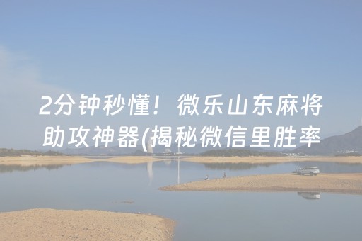2分钟秒懂！微乐山东麻将助攻神器(揭秘微信里胜率到哪调)