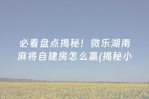 必看盘点揭秘！微乐湖南麻将自建房怎么赢(揭秘小程序自建房怎么赢)