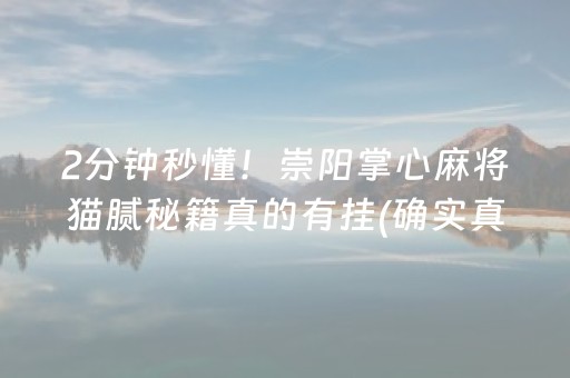 2分钟秒懂！崇阳掌心麻将猫腻秘籍真的有挂(确实真有挂)