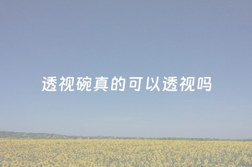 透视碗真的可以透视吗（透视碗设备是不是假的）