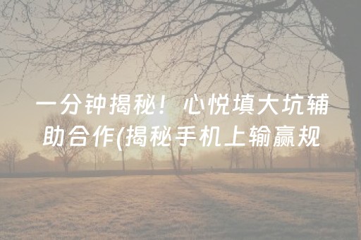 一分钟揭秘！心悦填大坑辅助合作(揭秘手机上输赢规律)