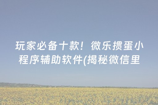 玩家必备十款！微乐掼蛋小程序辅助软件(揭秘微信里确实有猫腻)