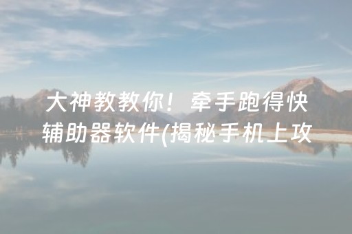 大神教教你！牵手跑得快辅助器软件(揭秘手机上攻略插件)