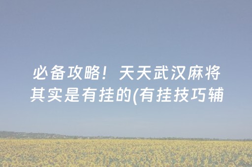 必备攻略！天天武汉麻将其实是有挂的(有挂技巧辅助器)