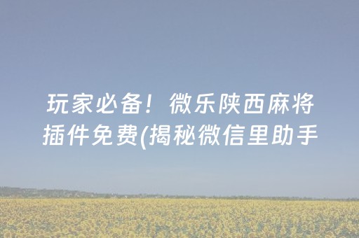玩家必备！微乐陕西麻将插件免费(揭秘微信里助手软件)