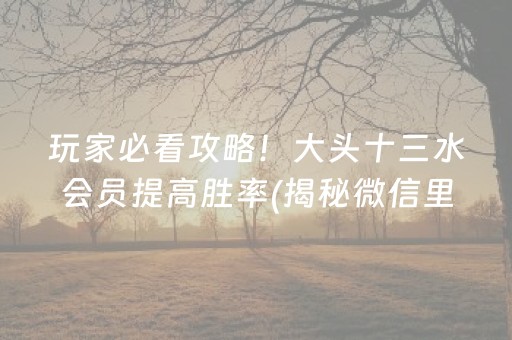 玩家必看攻略！大头十三水会员提高胜率(揭秘微信里必备神器)