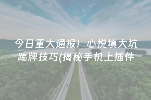 今日重大通报！心悦填大坑踢牌技巧(揭秘手机上插件购买)