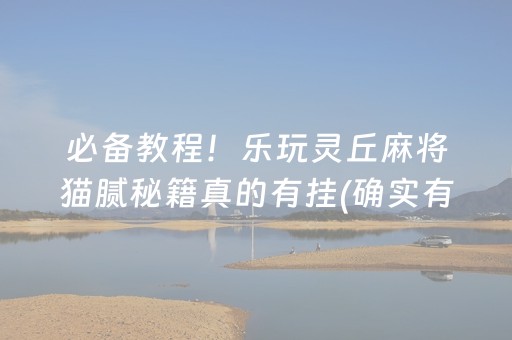 必备教程！乐玩灵丘麻将猫腻秘籍真的有挂(确实有挂)