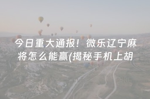 今日重大通报！微乐辽宁麻将怎么能赢(揭秘手机上胡牌技巧)