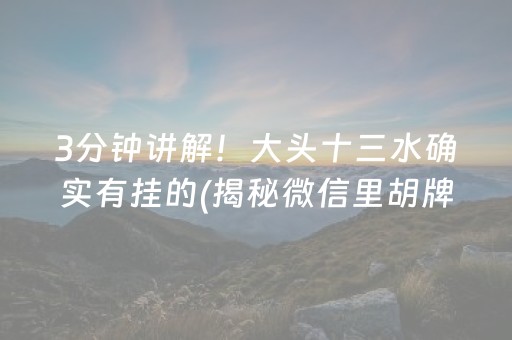 3分钟讲解！大头十三水确实有挂的(揭秘微信里胡牌神器)