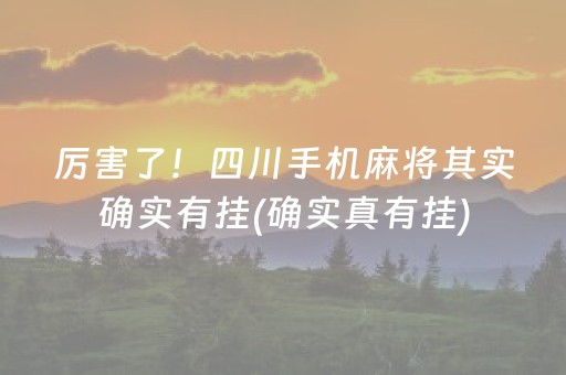 厉害了！四川手机麻将其实确实有挂(确实真有挂)