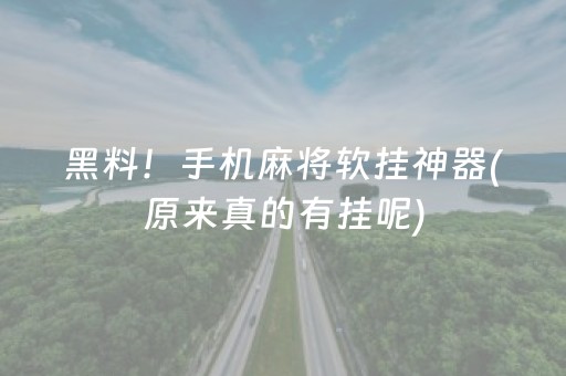 黑料！手机麻将软挂神器(原来真的有挂呢)
