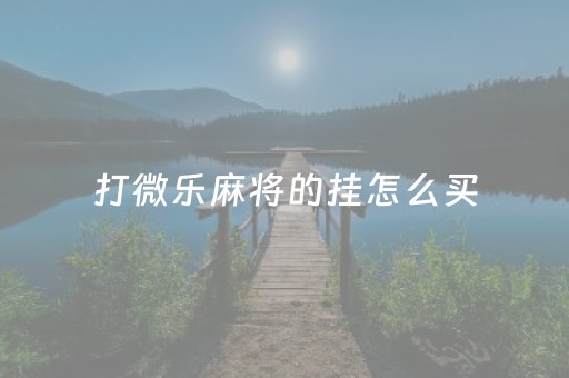 打微乐麻将的挂怎么买（微乐麻将怎么用挂）