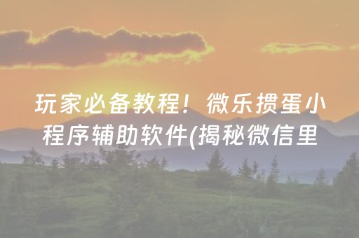 玩家必备教程！微乐掼蛋小程序辅助软件(揭秘微信里怎么容易赢)