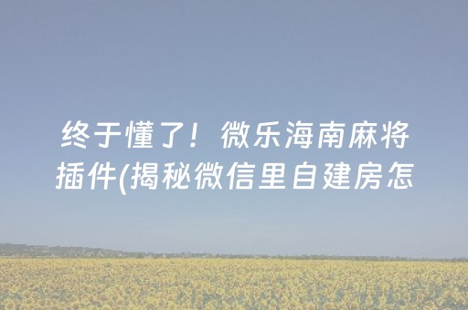 终于懂了！微乐海南麻将插件(揭秘微信里自建房怎么赢)