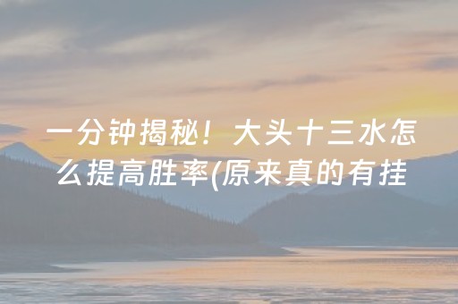 一分钟揭秘！大头十三水怎么提高胜率(原来真的有挂呢)
