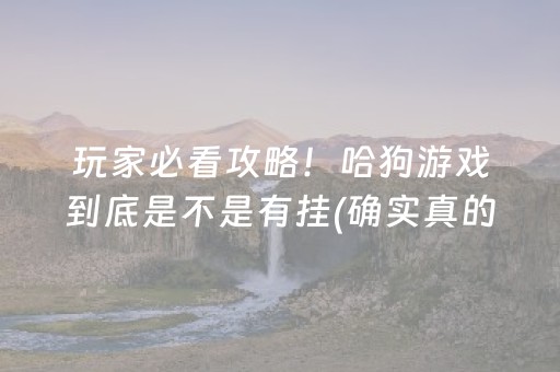 玩家必看攻略！哈狗游戏到底是不是有挂(确实真的有挂)