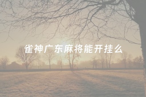 雀神广东麻将能开挂么（雀神广东麻将开挂神器）