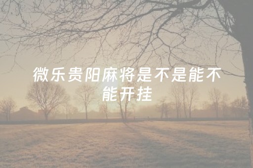 微乐贵阳麻将是不是能不能开挂（贵阳微乐麻将安装手机上）