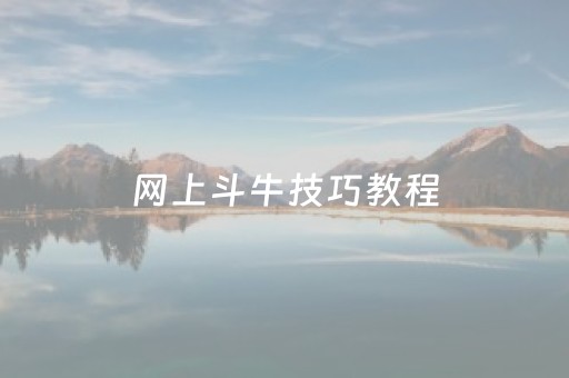 网上斗牛技巧教程（线上斗牛技巧）