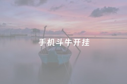 手机斗牛开挂（手机斗牛开挂会被发现吗）