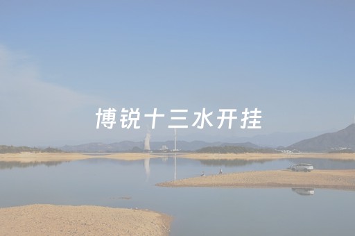 博锐十三水开挂（十三水免费开挂神器安装）