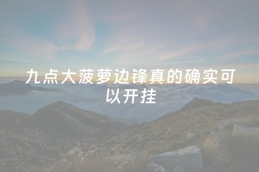 九点大菠萝边锋真的确实可以开挂（九点大菠萝边锋真的确实可以开挂了吗）