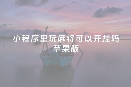 小程序里玩麻将可以开挂吗苹果版（微信小程序的麻将能开挂吗）