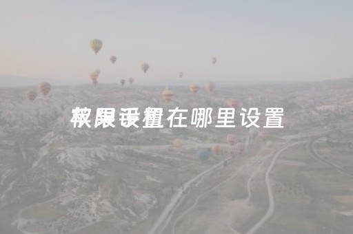 苹果手机
权限设置在哪里设置（苹果手机的
权限设置在哪里）