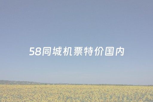 58同城机票特价国内（58同城机票查询热线）