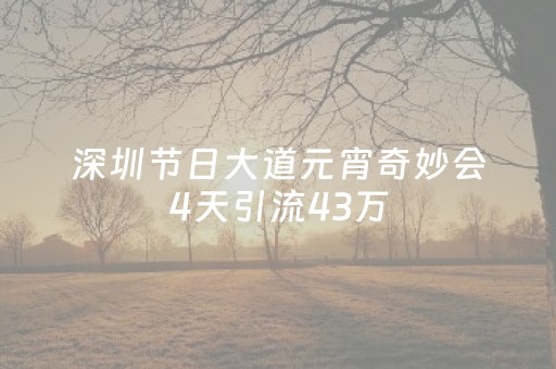 深圳节日大道元宵奇妙会4天引流43万