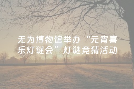 无为博物馆举办“元宵喜乐灯谜会”灯谜竞猜活动